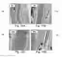 Fig. 11 - Automated imaging of chromophore labeled samples