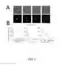 Fig. 09 - APPARATUSES AND METHODS FOR CELL AND TISSUE ASSAYS AND AGENT DELIVERY