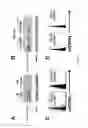 Fig. 02 - METHOD OF TREATING CHRONIC LYMPHATIC LEUKAEMIA AND/OR SYSTEMIC LUPUS ERYTHEMATOSUS