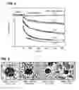 Fig. 05 - Polymer-based lipid nanodiscs and macrodiscs