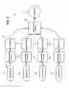 Fig. 07 - THREE-DIMENSIONAL ACOUSTIC DETECTION AND IMAGING VIA HEXIDRANT ISOLATION AND DELAY-MIXING