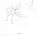 Fig. 02 - HOLOGRAPHIC HEADS UP DISPLAY