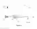 Fig. 03 - Holographic image projection with holographic correction