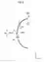 Fig. 06 - THREE-DIMENSIONAL MOLDED ARTICLE