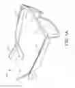 Fig. 02 - Reversible Eyeglass Frame