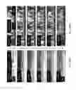 Fig. 19 - Vanadium dioxide-based optical and radiofrequency switches