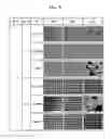 Fig. 10 - Liquid crystal polymer composition, liquid crystal display and method for manufacturing the same