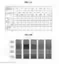 Fig. 30 - Liquid crystal polymer composition, liquid crystal display and method for manufacturing the same
