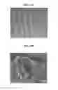 Fig. 43 - Liquid crystal polymer composition, liquid crystal display and method for manufacturing the same