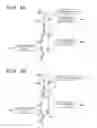 Fig. 04 - Image forming apparatus having double-sided conveyance path for forming image on both sides of sheet