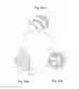 Fig. 07 - Image forming apparatus