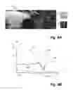 Fig. 08 - Estimating dimensions for an enclosed space using a multi-directional camera