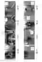 Fig. 04 - Electronic temperature safety control for a heating element