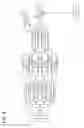 Fig. 06 - Operating apparatus for estimating an operation intention intended by a face direction