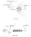 Fig. 06 - Intelligent sensing touch display device