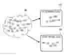 Fig. 01 - Information processing apparatus and non-transitory computer readable medium storing information processing program