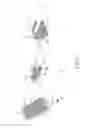 Fig. 07 - ELECTRONIC DEVICE AND OPERATING METHOD THEREFOR