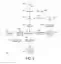 Fig. 09 - Live partition mobility enabled hardware accelerator address translation fault resolution