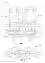 Fig. 02 - Packet tunneling for multi-node, multi-socket systems