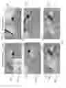Fig. 08 - DEVICE DISLOCATION STRESS SIMULATION