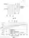 Fig. 06 - Training a neural network to predict superpixels using segmentation-aware affinity loss