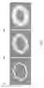 Fig. 06 - Analyzing spatially-sparse data based on submanifold sparse convolutional neural networks