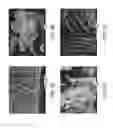 Fig. 04 - COMPOSITIONS AND METHODS FOR POLARIZATION-SWITCHED, SOLID-STATE MOLECULAR PUMPING