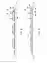 Fig. 06 - Light emitting apparatus and manufacturing method thereof