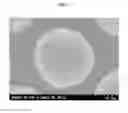 Fig. 02 - Cathode active material of lithium secondary battery