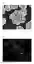 Fig. 02 - LITHIUM COMPOSITE OXIDE PARTICLES FOR NON-AQUEOUS ELECTROLYTE SECONDARY BATTERIES AND PROCESS FOR PRODUCING THE SAME, AND NON-AQUEOUS ELECTROLYTE SECONDARY BATTERY