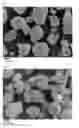 Fig. 02 - Method of producing positive electrode active material for nonaqueous electrolyte secondary battery