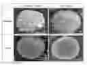 Fig. 01 - CORE-SHELL STRUCTURED COMPOSITE POWDER FOR SOLID OXIDE FUEL CELL