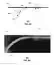 Fig. 07 - Antenna structure with circularly polarized antenna beam