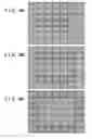 Fig. 09 - Focus detection apparatus and method