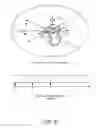 Fig. 09 - Methods and apparatus of viewport adaptive 360 degree video delivery