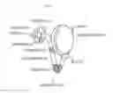 Fig. 06 - Sound output device and sound guiding device