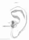 Fig. 28 - Sound output device and sound guiding device