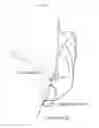 Fig. 76 - Sound output device and sound guiding device