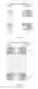 Fig. 09 - DEVICE-TO-DEVICE COMMUNICATION METHOD AND USER EQUIPMENT