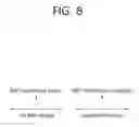 Fig. 09 - Method and device for performing random access process in unlicensed band