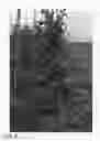 Fig. 05 - Apple tree named 'ZOUK 16'