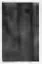 Fig. 02 - Nectarine Tree Named 'NSRED14262'