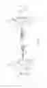 Fig. 06 - Blower/mulcher