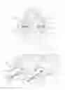 Fig. 03 - Animal call
