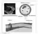 Fig. 01 - ANTIMICROBIAL AGENT COMPRISING CARBON-GROUP NON-OXIDE NANOPARTICLES, AND PRODUCTION METHOD THEREFOR
