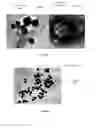 Fig. 02 - Biopesticide