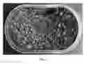 Fig. 02 - COLD-SOAKED OATMEALS AND METHODS FOR MANUFACTURING