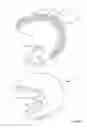 Fig. 07 - OUTER PADDING ASSEMBLY FOR BIOMECHANICS AWARE HEADGEAR