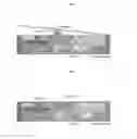 Fig. 01 - Shoe insole and generator