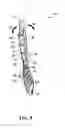 Fig. 09 - Skate boot having a lace member with at least one opening